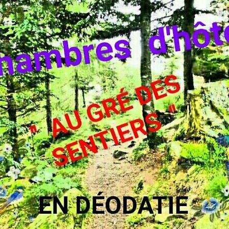 Au Gre Des Sentiers Chez Marie Et Pierre Bed and Breakfast Saint-Die-des-Vosges Eksteriør billede