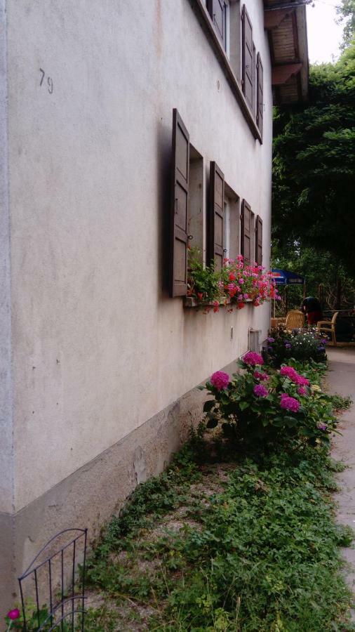 Au Gre Des Sentiers Chez Marie Et Pierre Bed and Breakfast Saint-Die-des-Vosges Eksteriør billede