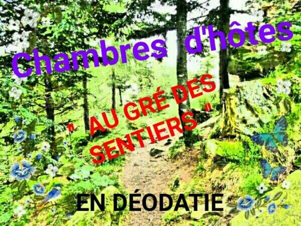 Au Gre Des Sentiers Chez Marie Et Pierre Bed and Breakfast Saint-Die-des-Vosges Eksteriør billede